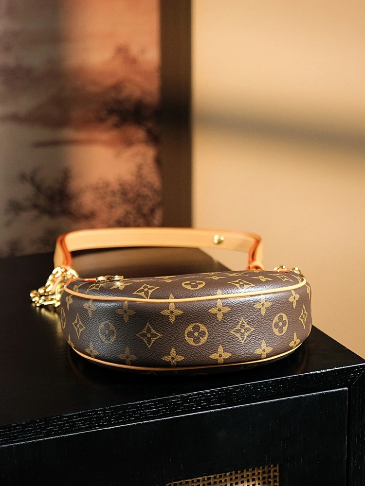 LV Loop Bag
