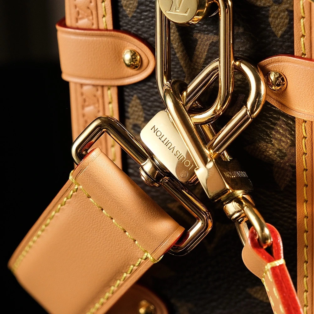 LV side luggage