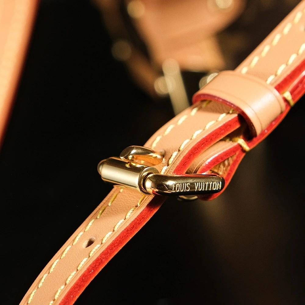 LV side luggage