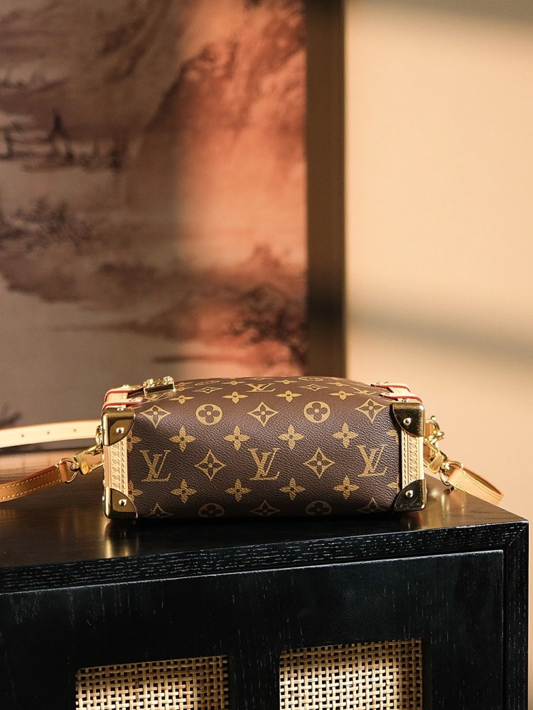 LV side luggage