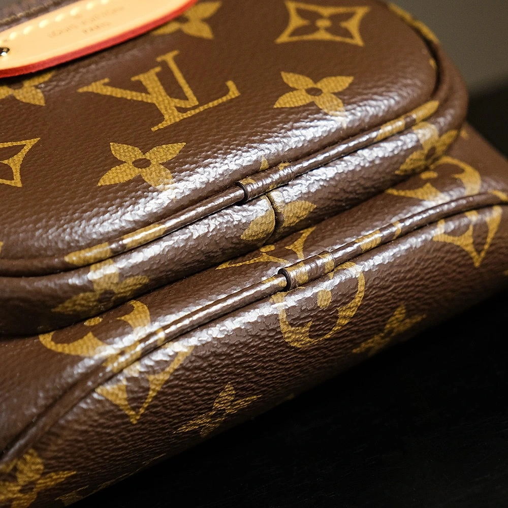 LV Bumbag Mini Series