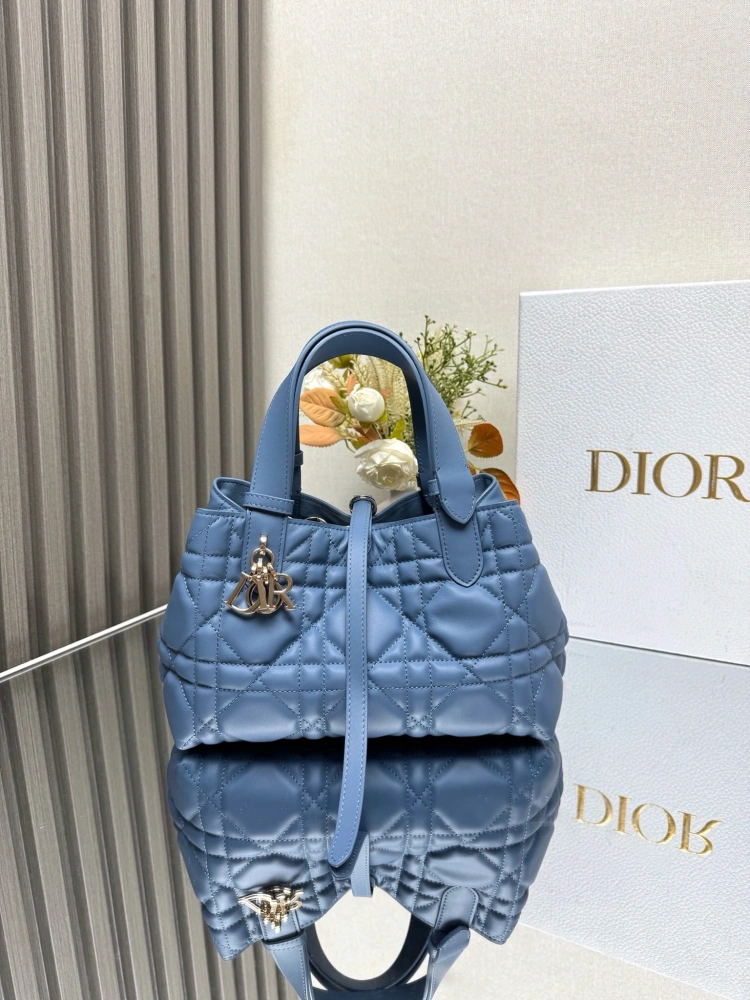 DIOR Touiours Handbag