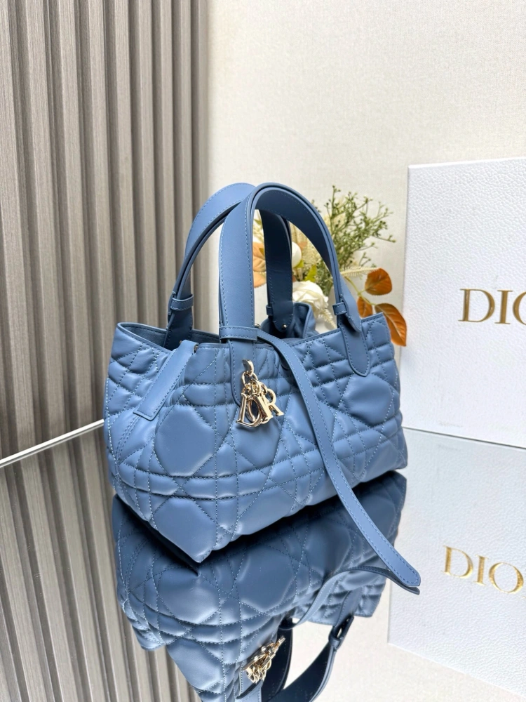 DIOR Touiours Handbag