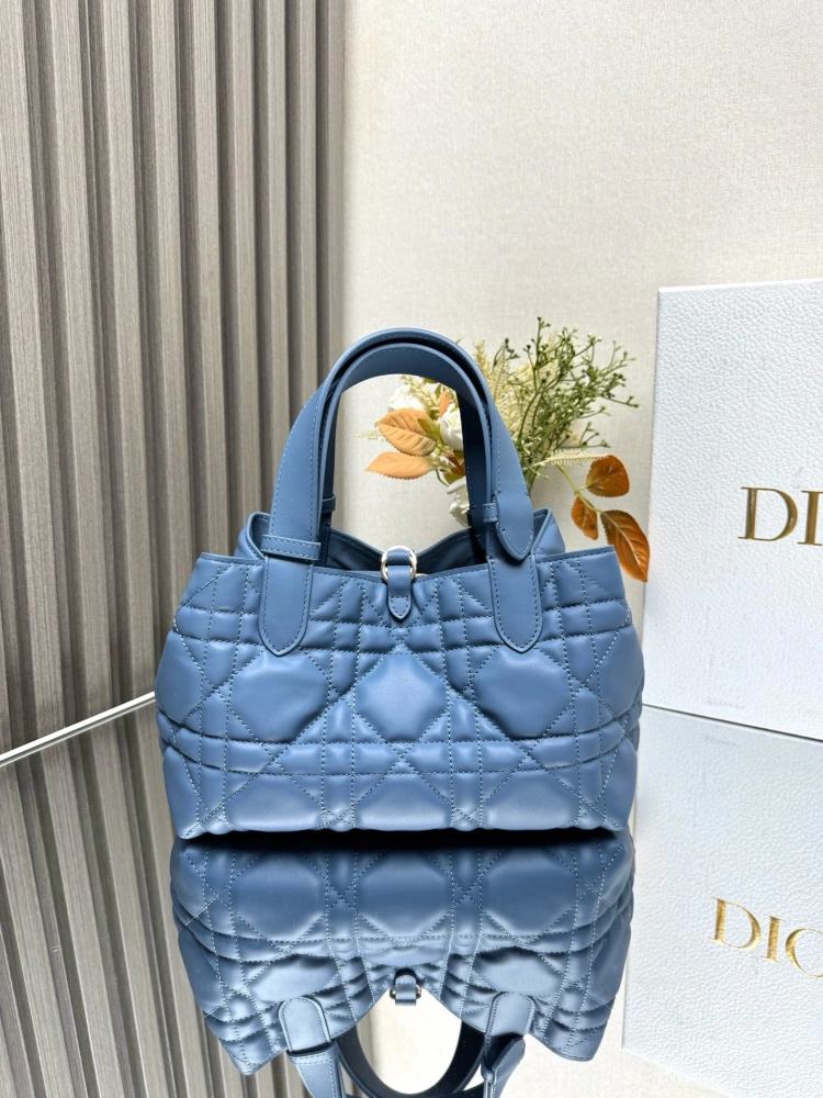 DIOR Touiours Handbag