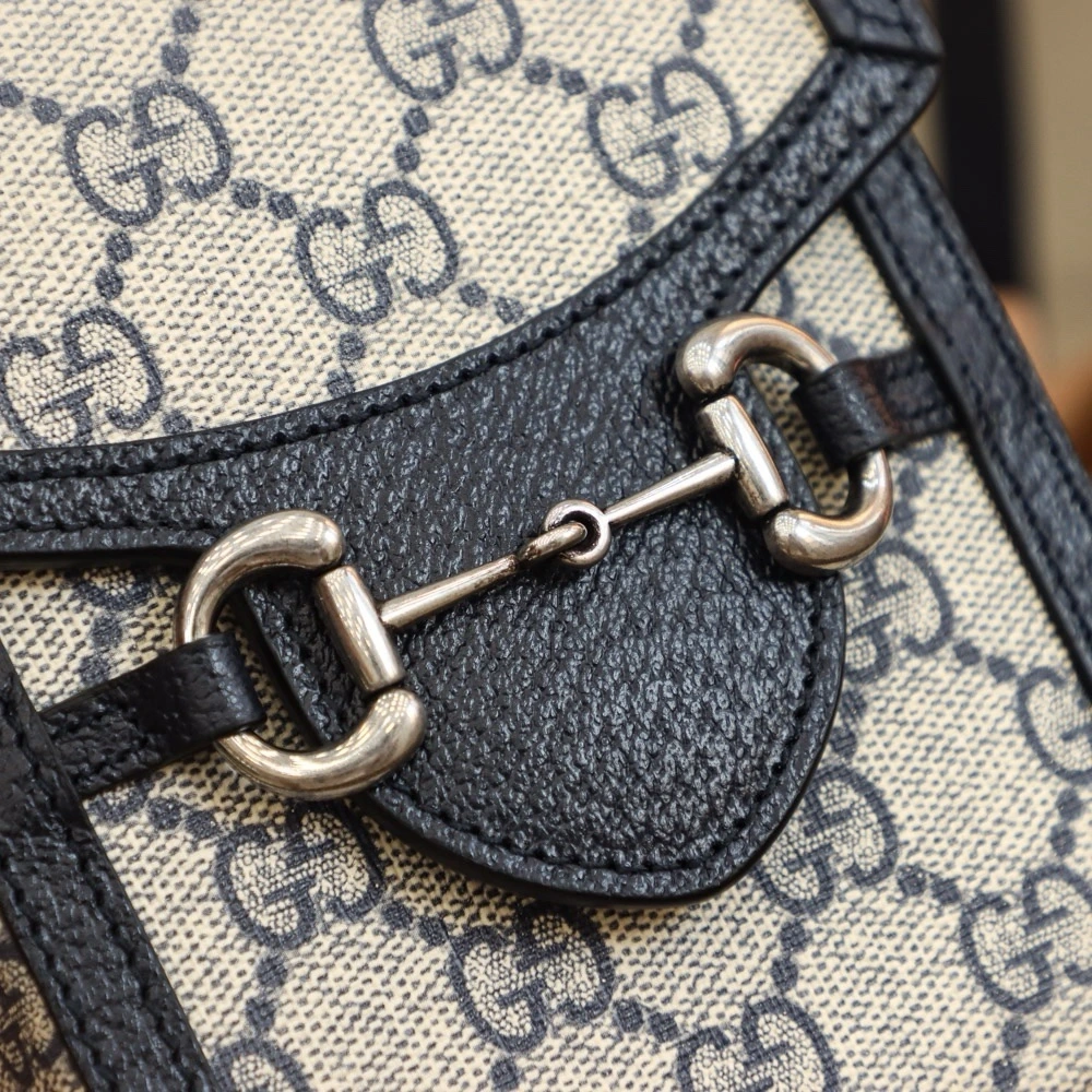 GUCCI camera bag