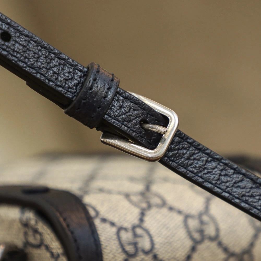 GUCCI camera bag