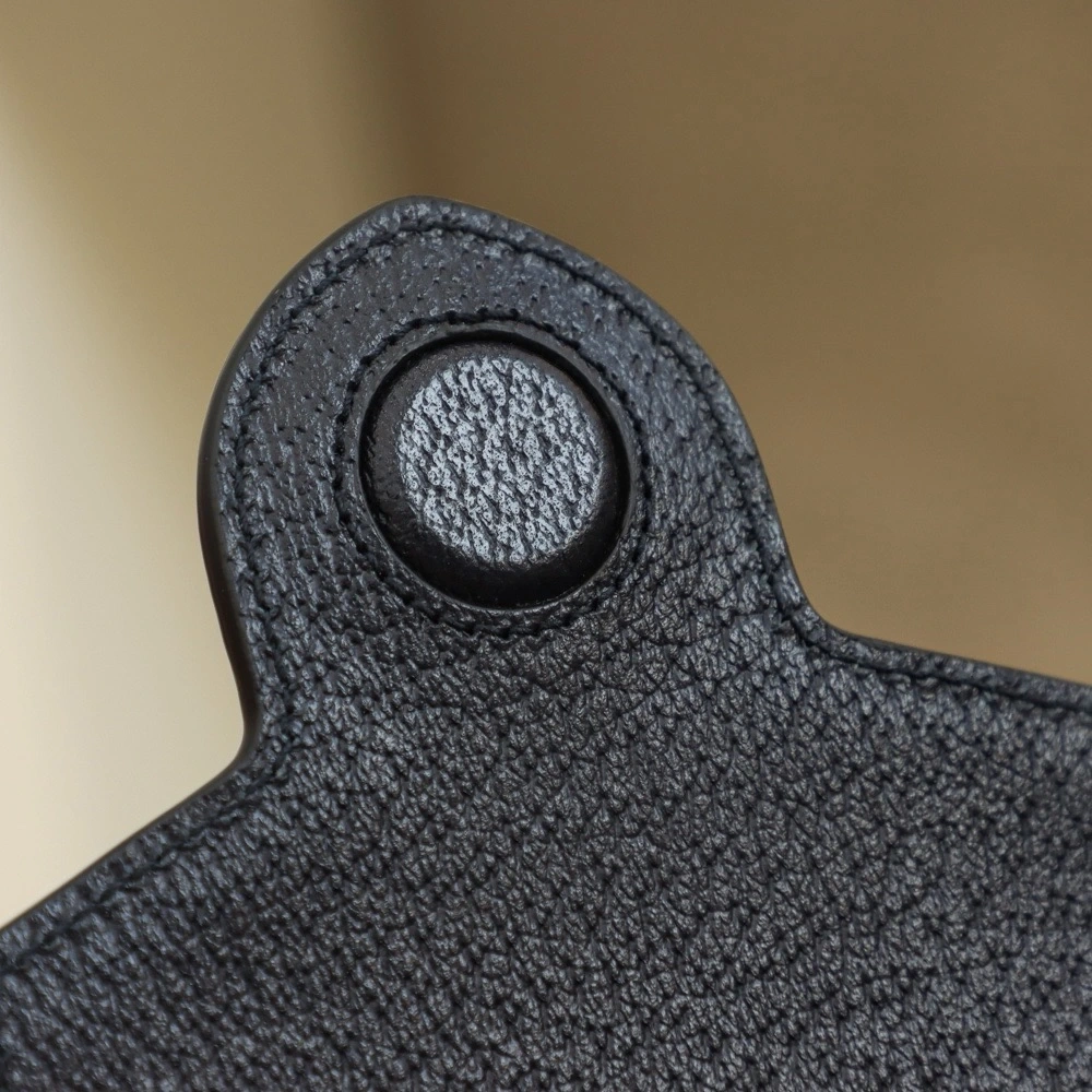 GUCCI camera bag
