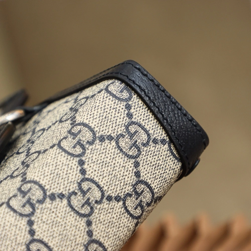 GUCCI camera bag