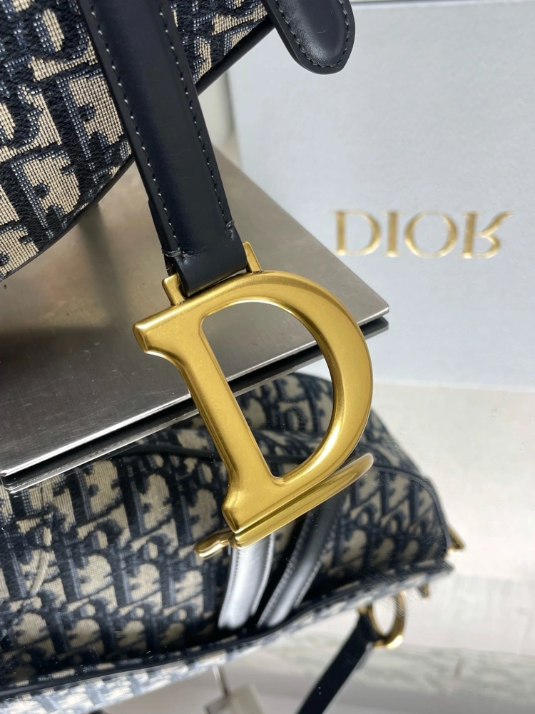 DIOR CD Saddle