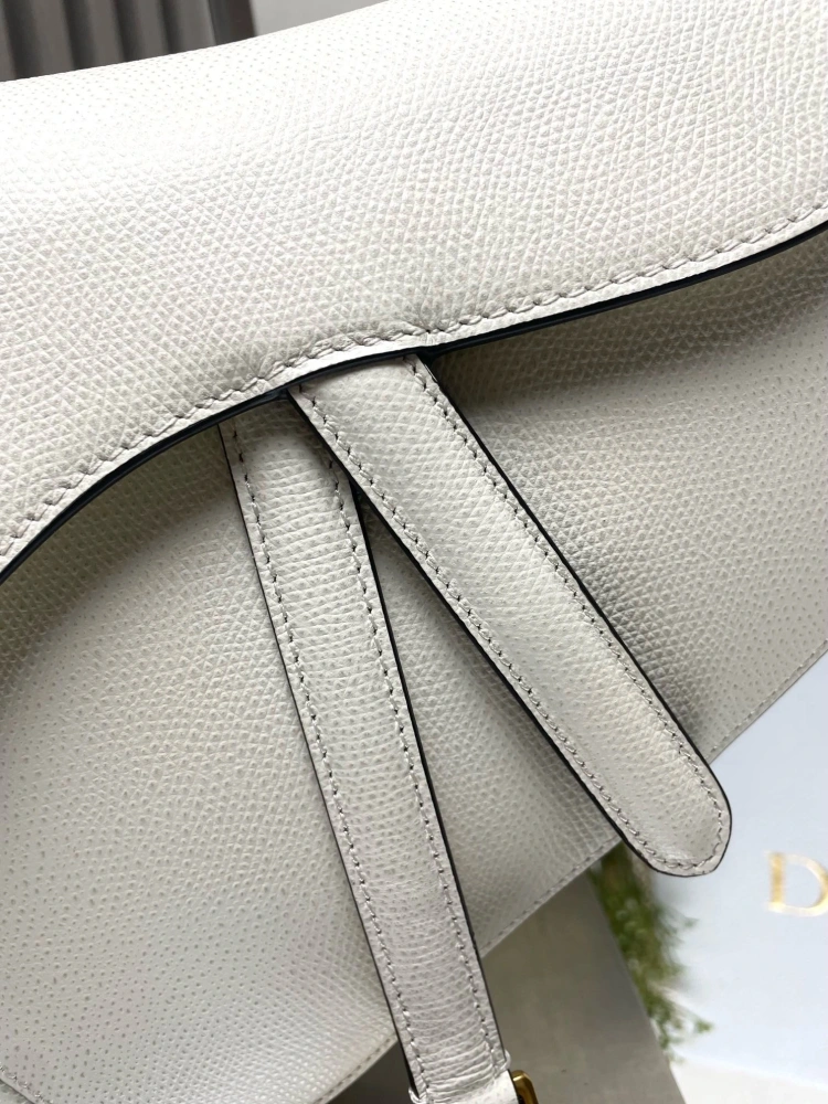 dior saddle