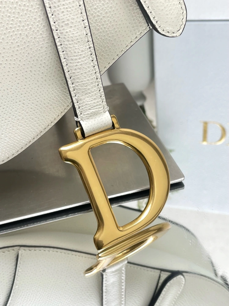 dior saddle