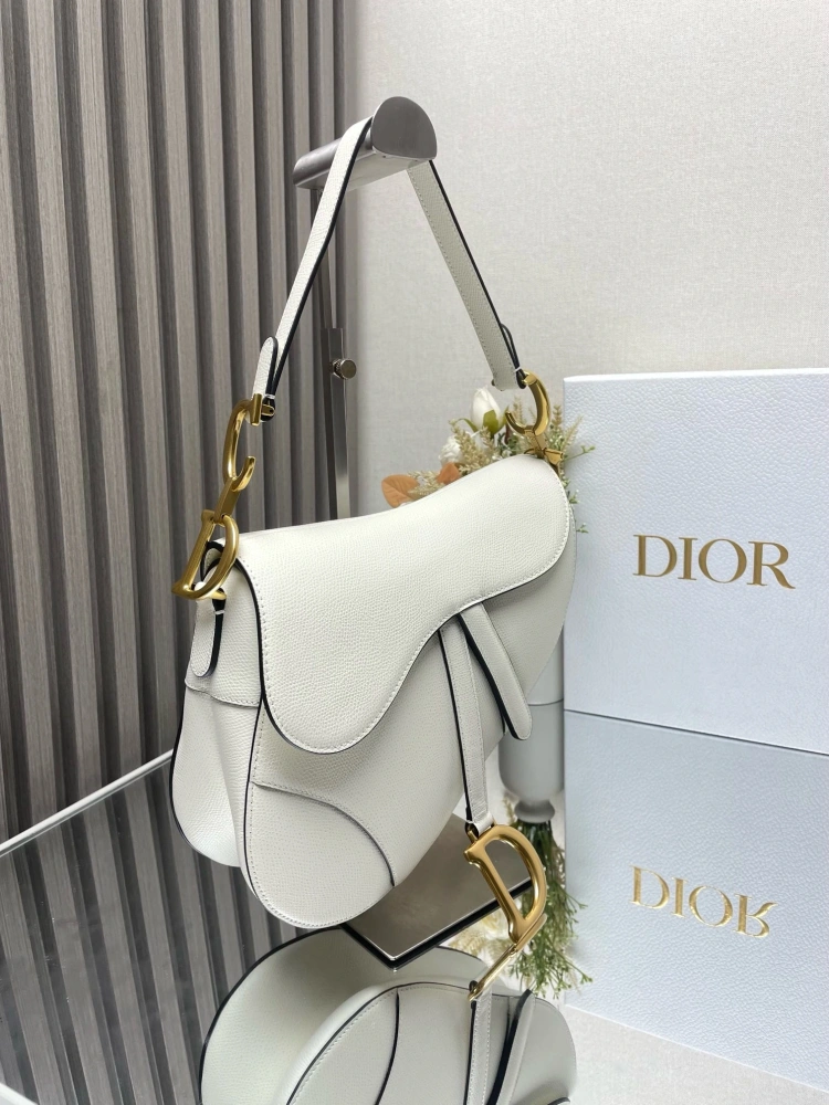 dior saddle