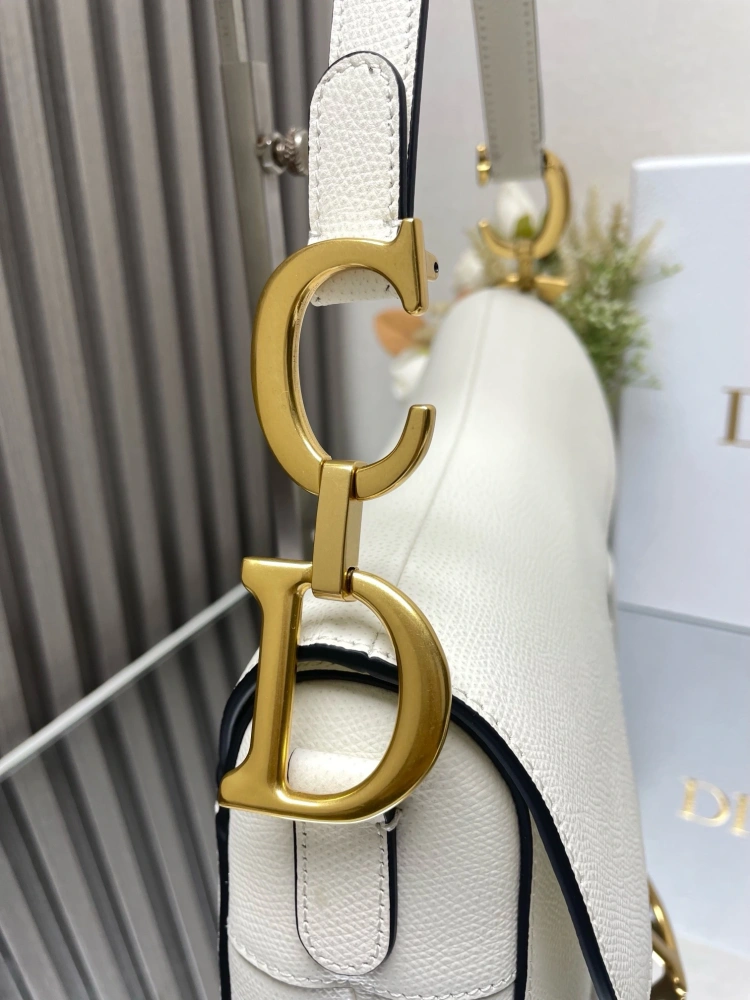 dior saddle