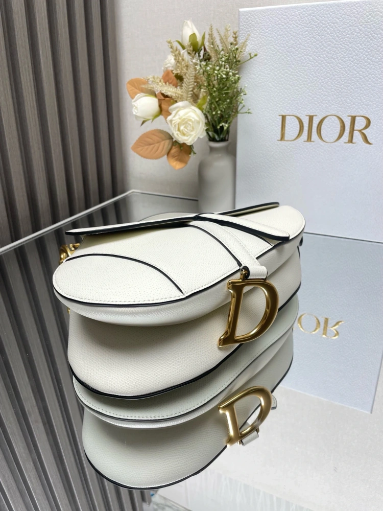 dior saddle