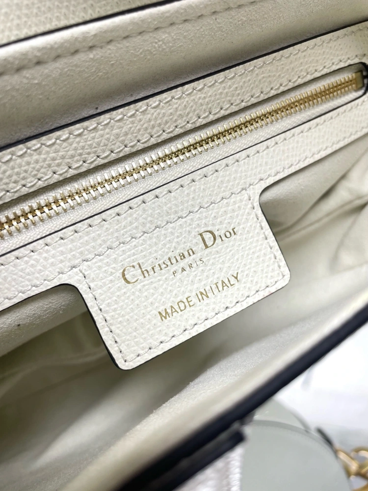 dior saddle