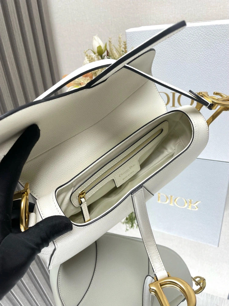 dior saddle