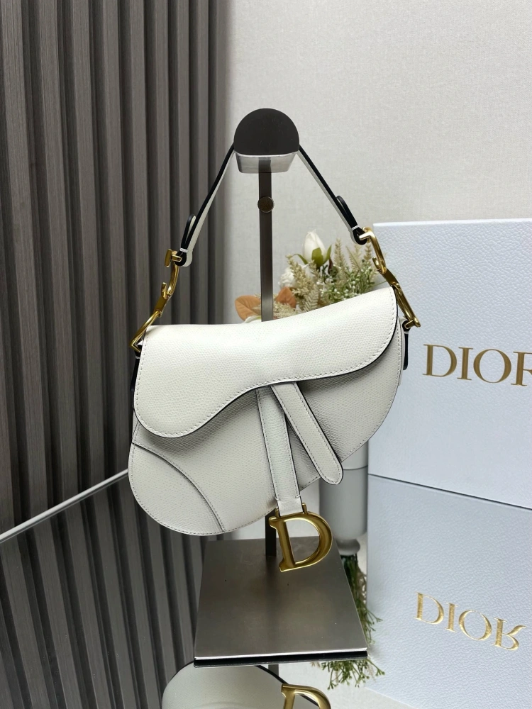 dior saddle