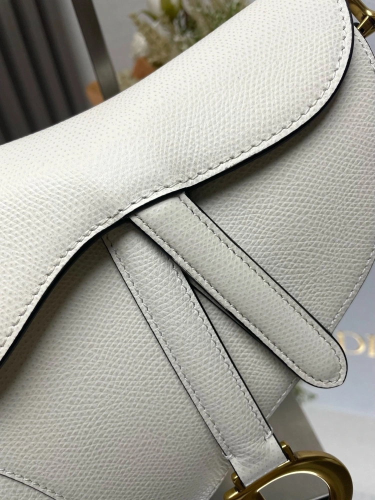 dior saddle