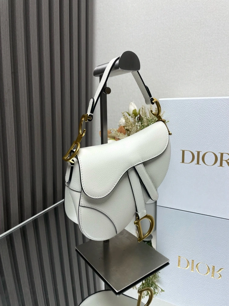dior saddle