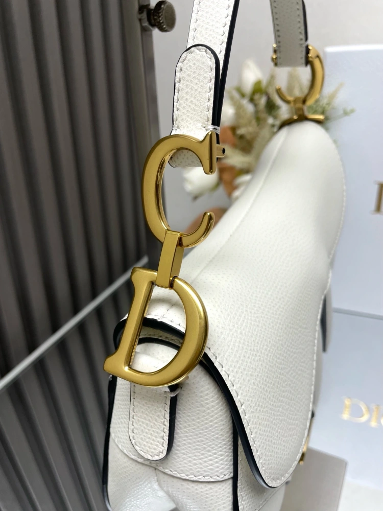 dior saddle