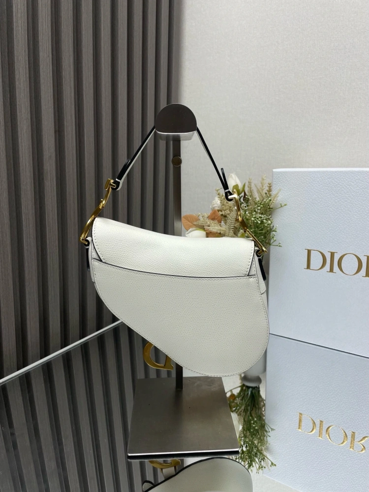 dior saddle