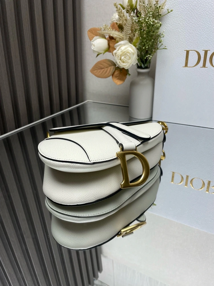 dior saddle