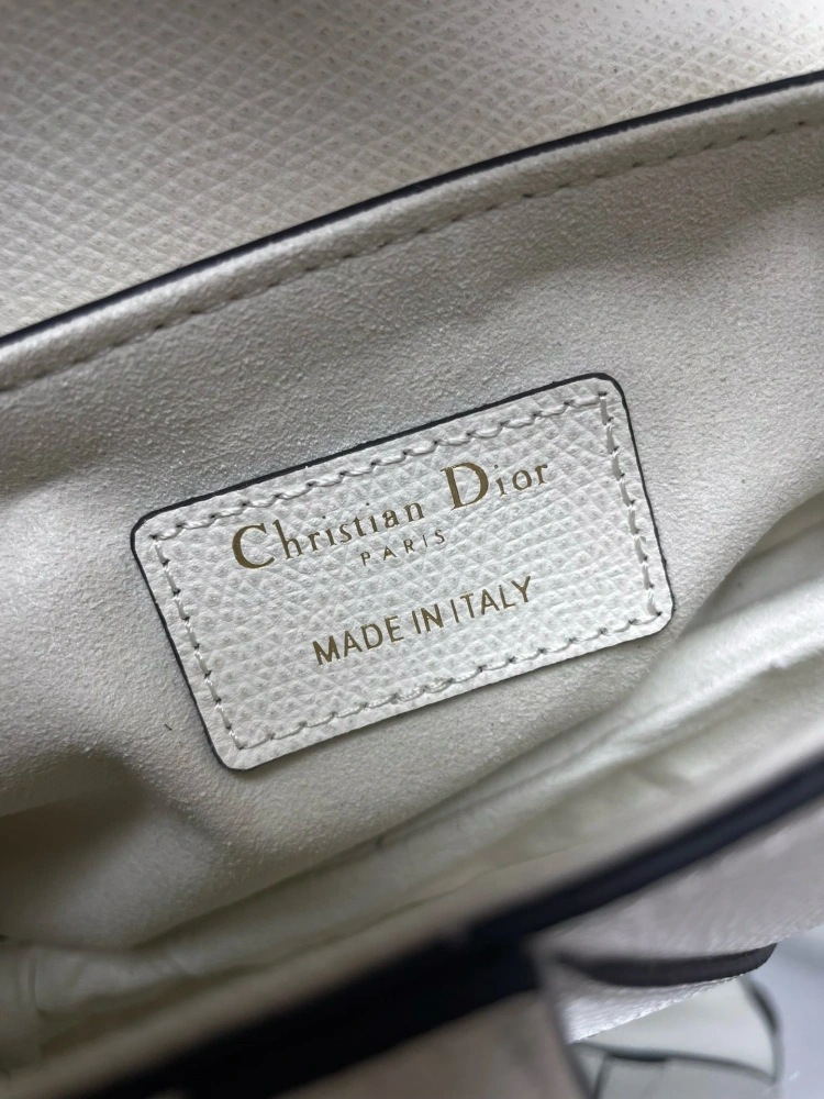 dior saddle