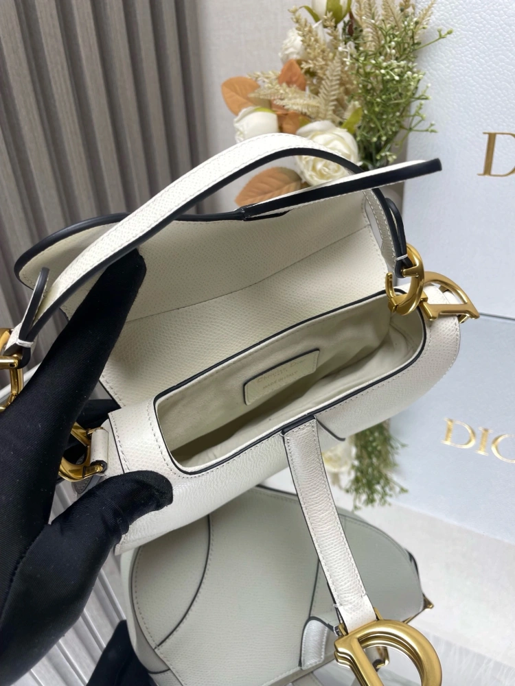 dior saddle