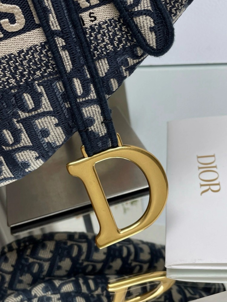 dior CD Saddle