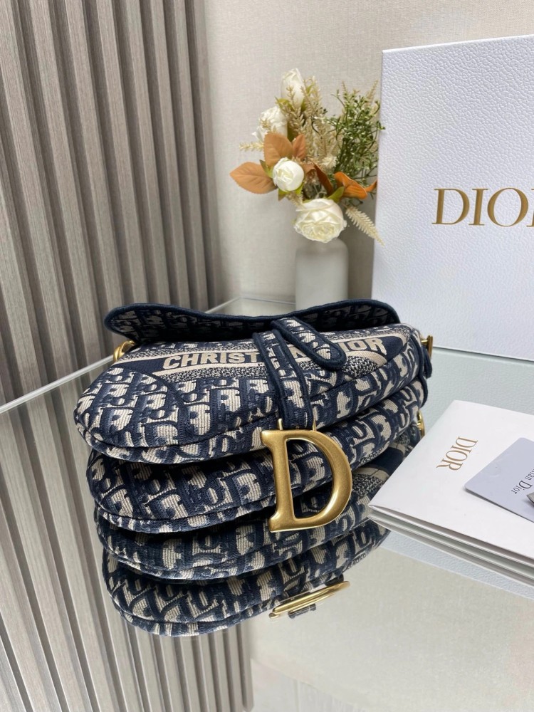 dior CD Saddle