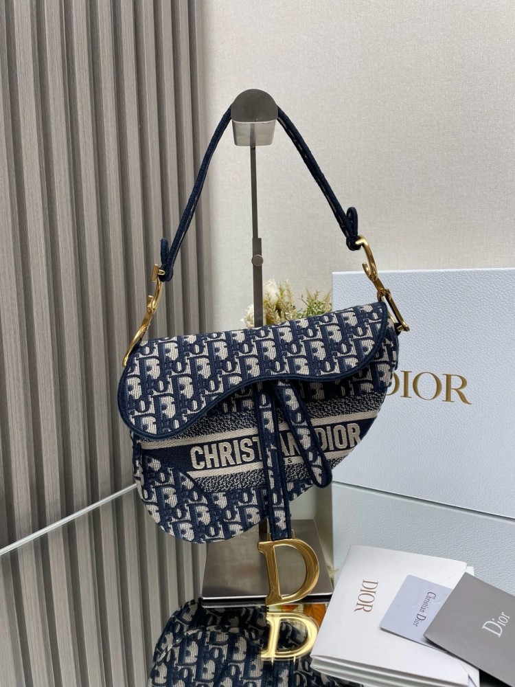 dior CD Saddle