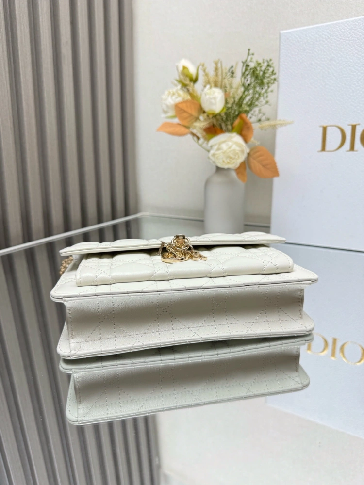 Lady Dior