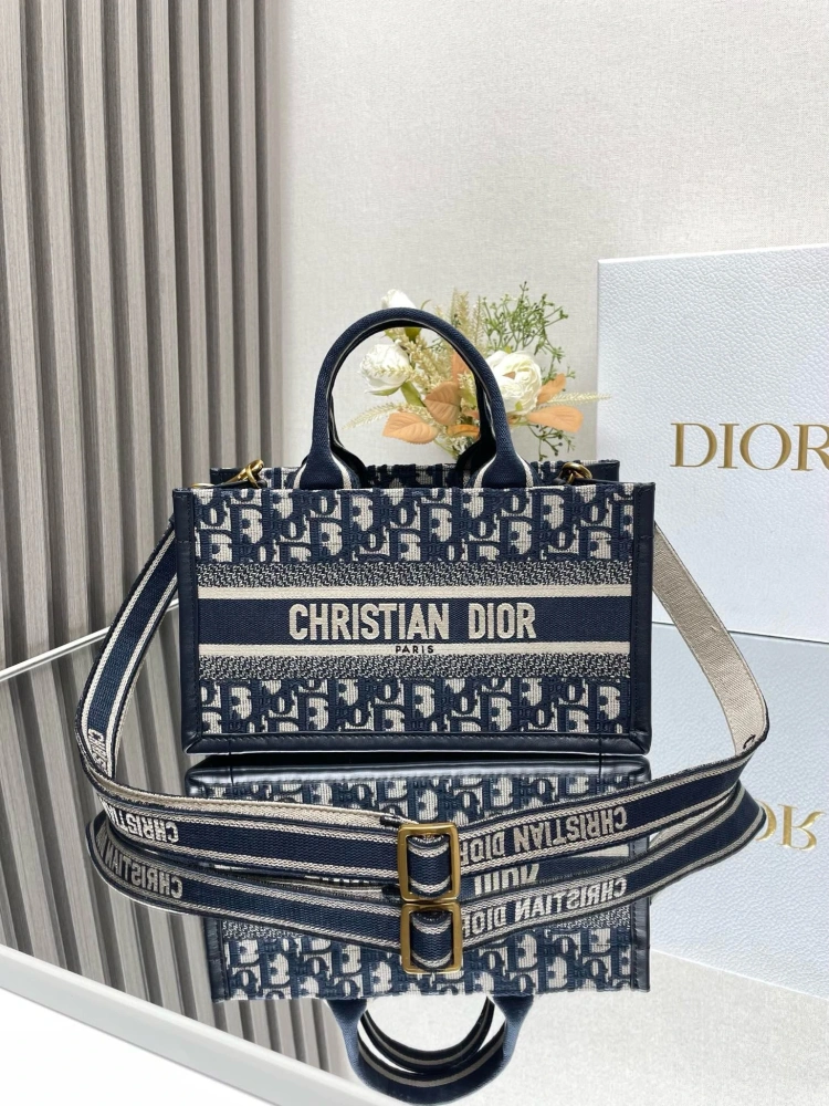 DIOR Mini School Bag