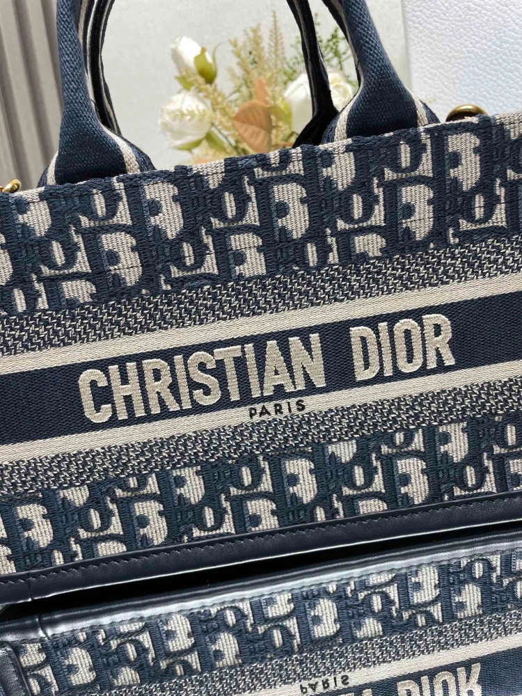 DIOR Mini School Bag