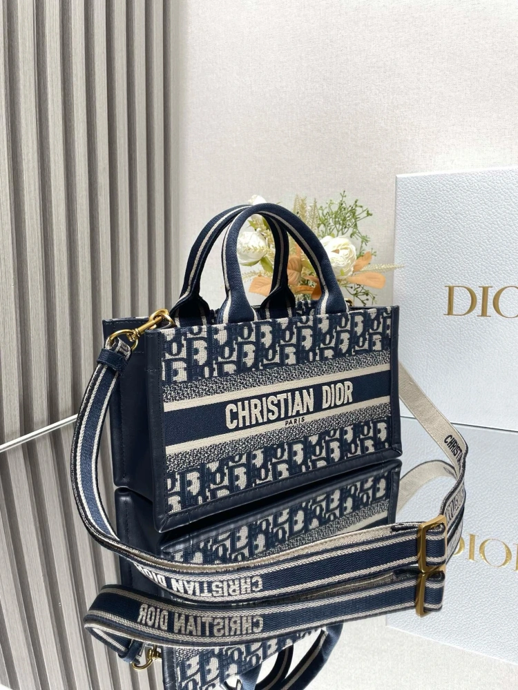 DIOR Mini School Bag