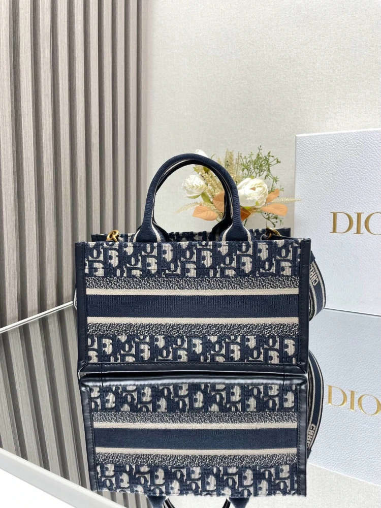 DIOR Mini School Bag