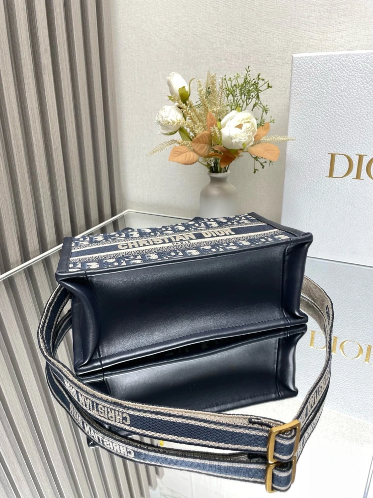 DIOR Mini School Bag
