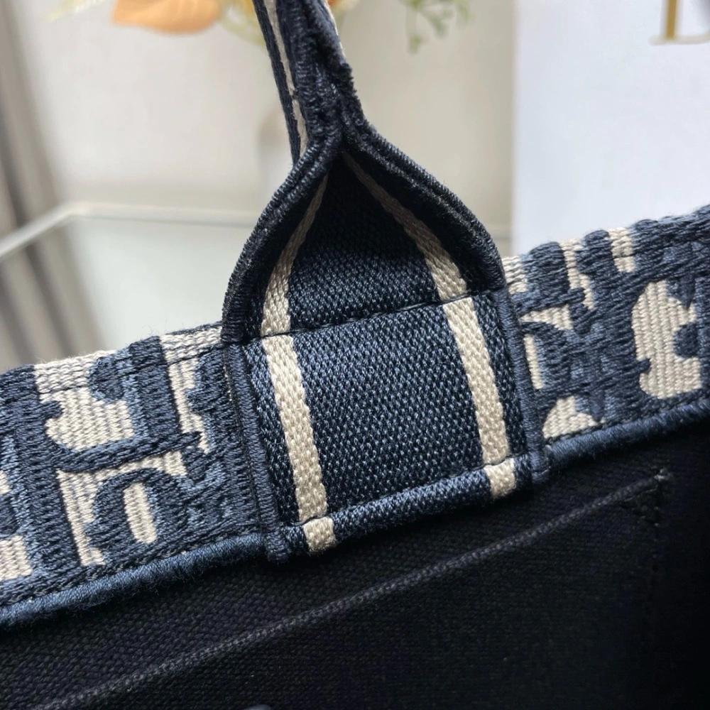 DIOR Mini School Bag