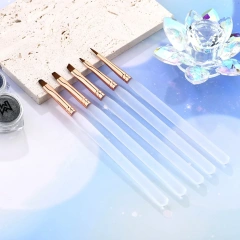 Youtube Hot New Nylon Hair Acrylic Nail Paint Art Brush 5pcs Set for Art 3D Design Gel Details Nail Brush Custom Hair Shape
