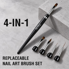Multi-Head Interchangeable Nail Art Brush