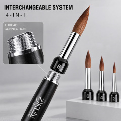 Multi-Head Interchangeable Kolinsky Nail Art Brush