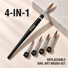 Multi-Head Interchangeable Kolinsky Nail Art Brush