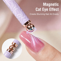 2026 New Cat EyeMagnetic Nail Brush Kit 5Pcs Custom Logo Replaceable Double Headed Nails Brush Magnetic