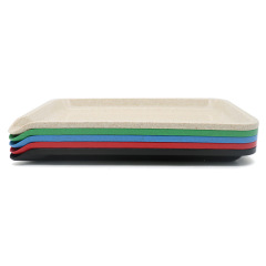 Eco-Friendly Plastic Rolling Tray – 20×14.5cm Basic Design