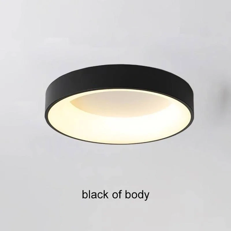 Nordic Ceiling Light Modern LED Simple Lamps For Living Room Bedroom Study Restaurant Home Indoor Round Decor Lighting Fixture