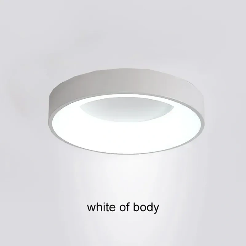 Nordic Ceiling Light Modern LED Simple Lamps For Living Room Bedroom Study Restaurant Home Indoor Round Decor Lighting Fixture