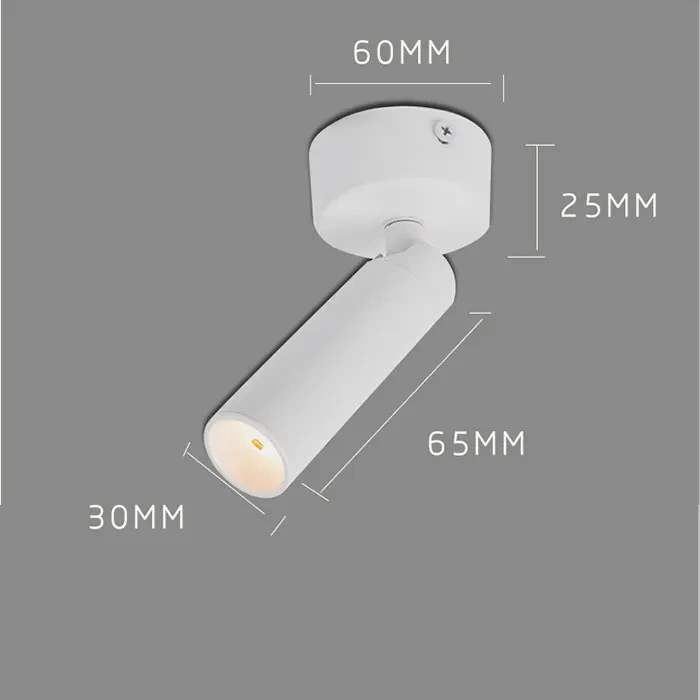 LUMINTURS 3W LED Picture Light – Flexible Gooseneck, Silver/Black, Adjustable Spotlight