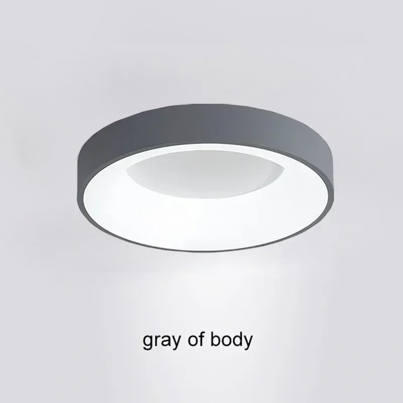 Nordic Ceiling Light Modern LED Simple Lamps For Living Room Bedroom Study Restaurant Home Indoor Round Decor Lighting Fixture