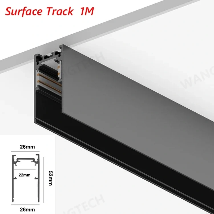 M20 Magnetic Track Light DC48V Aluminum Rail Led Flood Grille Spot Home Tuya Zigbee Assistant Alexa Or 3000/4000/6000K Black