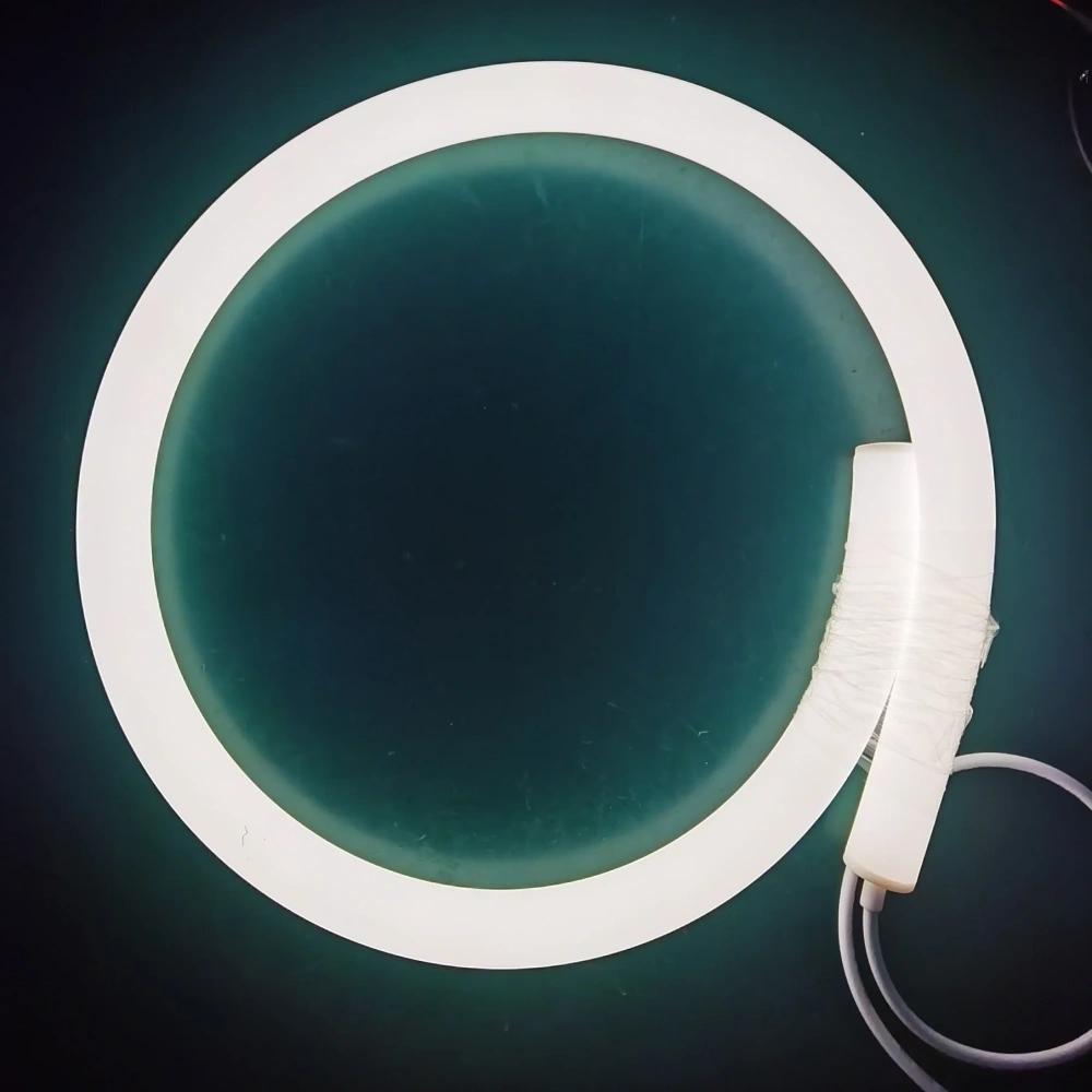 White Light 360-degree Circular Flexible Silicone Neon Strip Arbitrary Modeling Flexible Neon Light Led  Colored Lights 	rgb